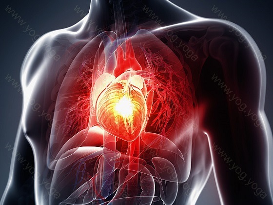 Heart Disease Cure and Treatment in Bidhan Nagar West Bengal