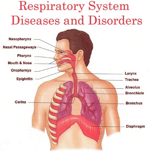 Respiratory Disease Cure and Treatment in Baranagar West Bengal